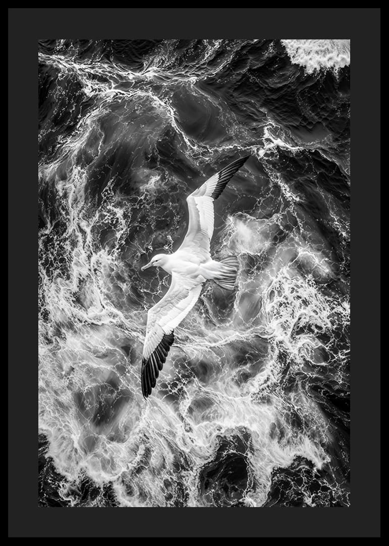 En fågel svävar över dramatiska vågor, uppfylld av frihet-12