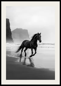Stately horse runs along foggy shore, a symbol of freedom-2