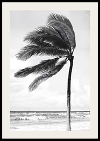 A palm tree sways softly in the winds against a stormy sea-2