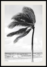A palm tree sways softly in the winds against a stormy sea-2