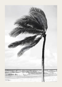 A palm tree sways softly in the winds against a stormy sea-3