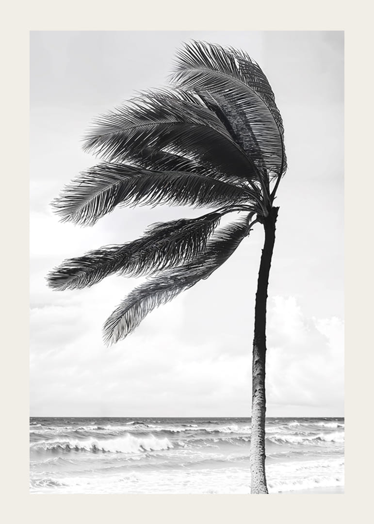 A palm tree sways softly in the winds against a stormy sea-12