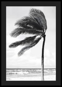 A palm tree sways softly in the winds against a stormy sea-4