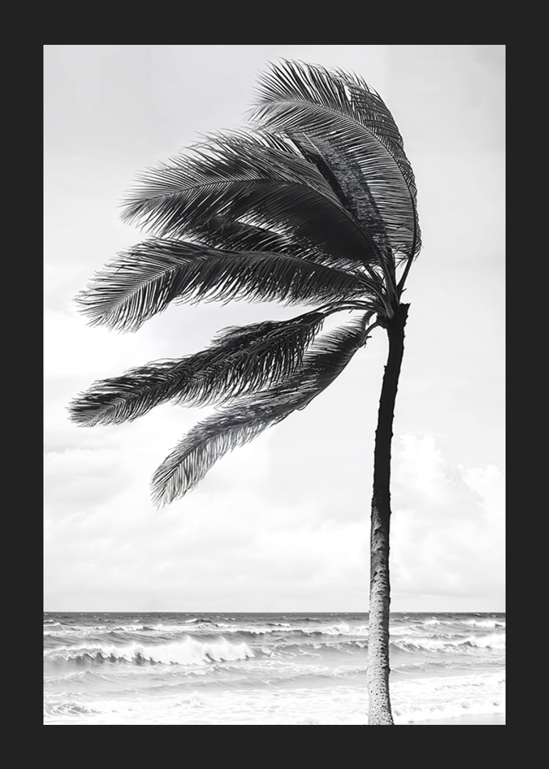 A palm tree sways softly in the winds against a stormy sea-12
