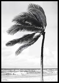 A palm tree sways softly in the winds against a stormy sea-6