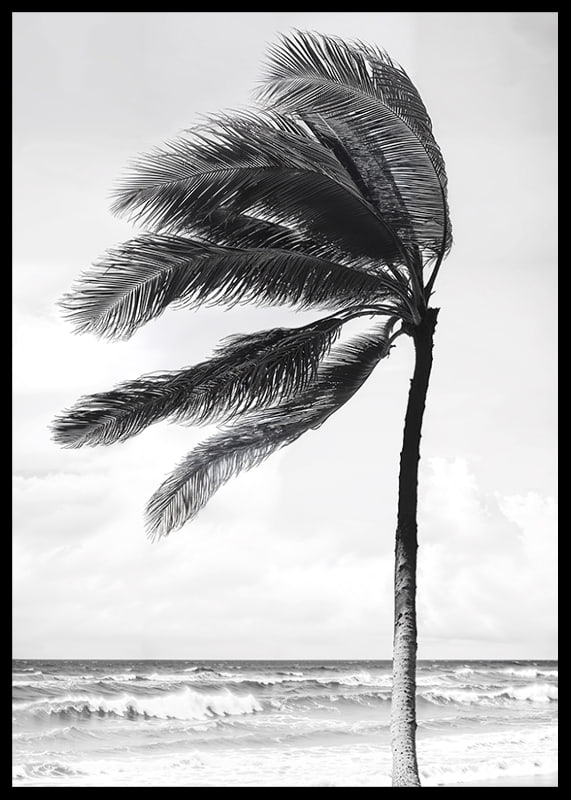A palm tree sways softly in the winds against a stormy sea-12