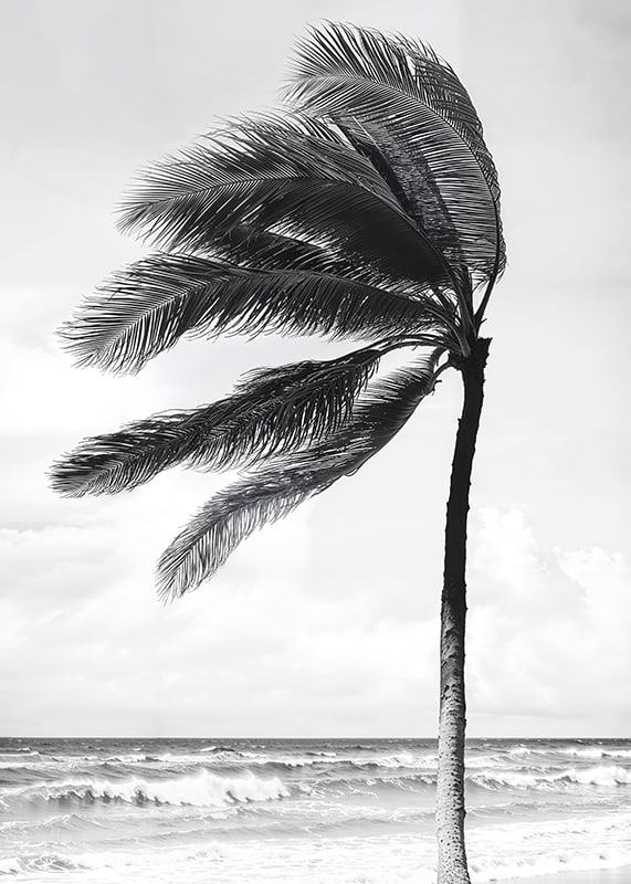 A palm tree sways softly in the winds against a stormy sea-12