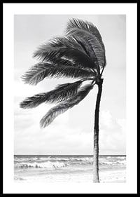 A palm tree sways softly in the winds against a stormy sea-0