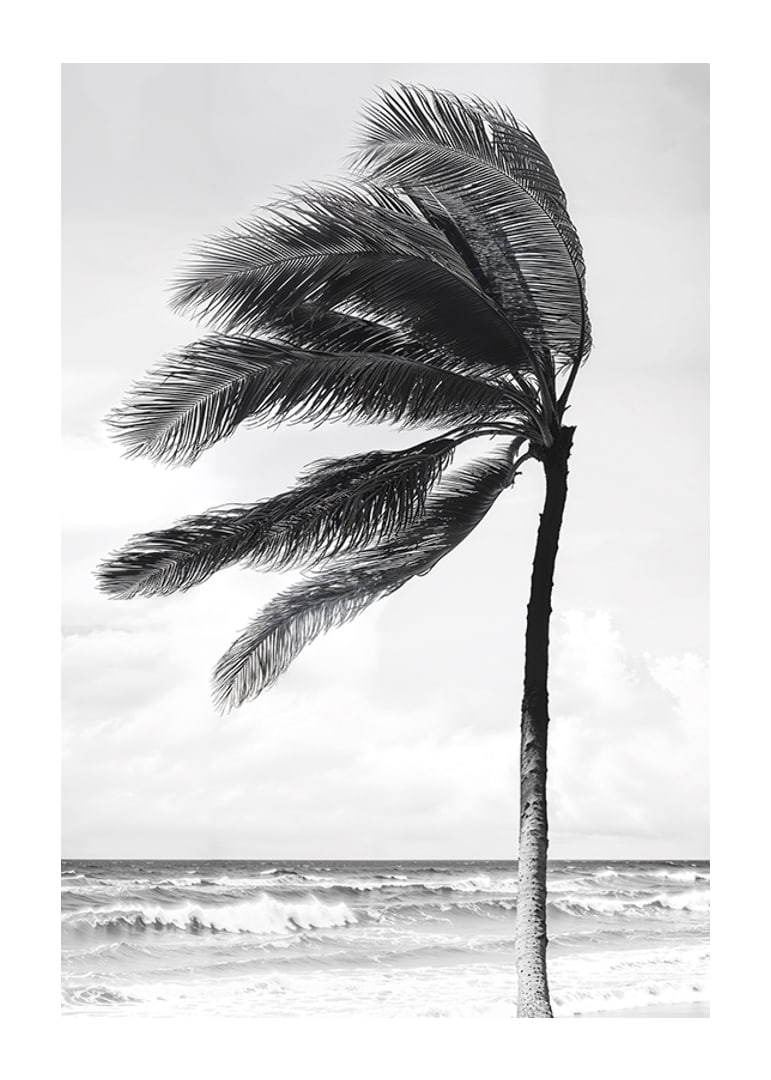 A palm tree sways softly in the winds against a stormy sea-12