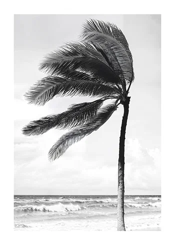 Poster Breeze On Palmtree
