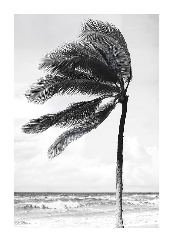 Poster Breeze On Palmtree