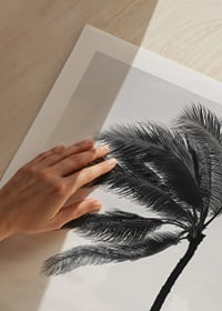 A palm tree sways softly in the winds against a stormy sea-9
