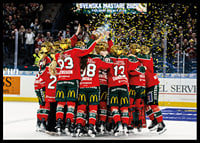 Frölunda HC SDHL Guld No2-2
