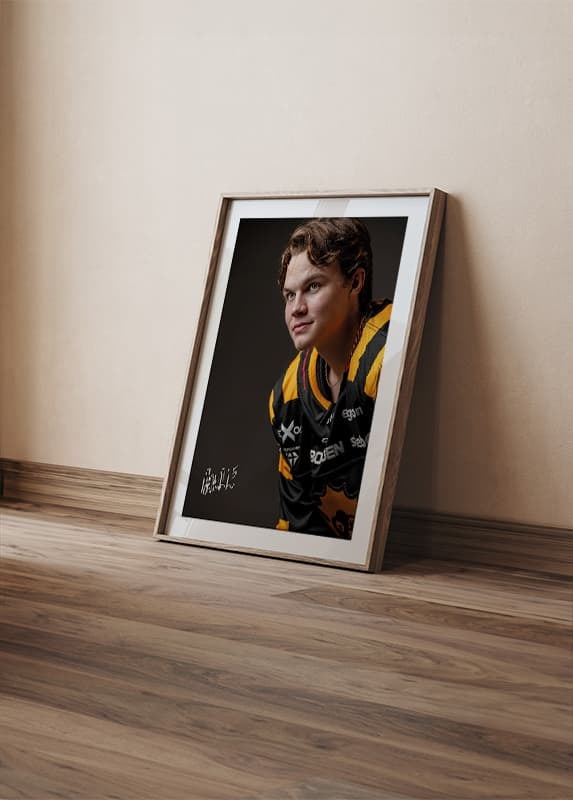 Axel Sandin Pellikka #5 Skellefteå AIK 2024/2025-12