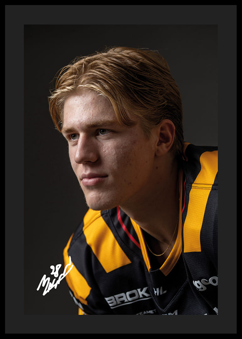 Michael Brandsegg-Nygård #28 Skellefteå AIK 2024/2025-12