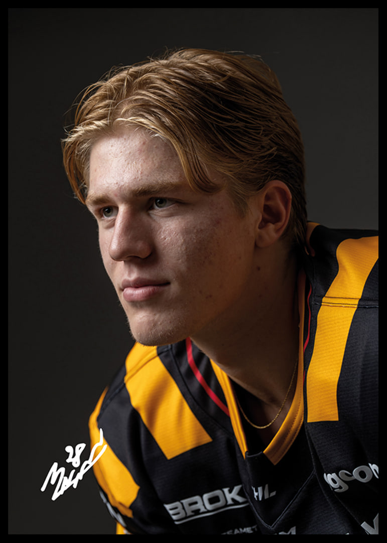 Michael Brandsegg-Nygård #28 Skellefteå AIK 2024/2025-12
