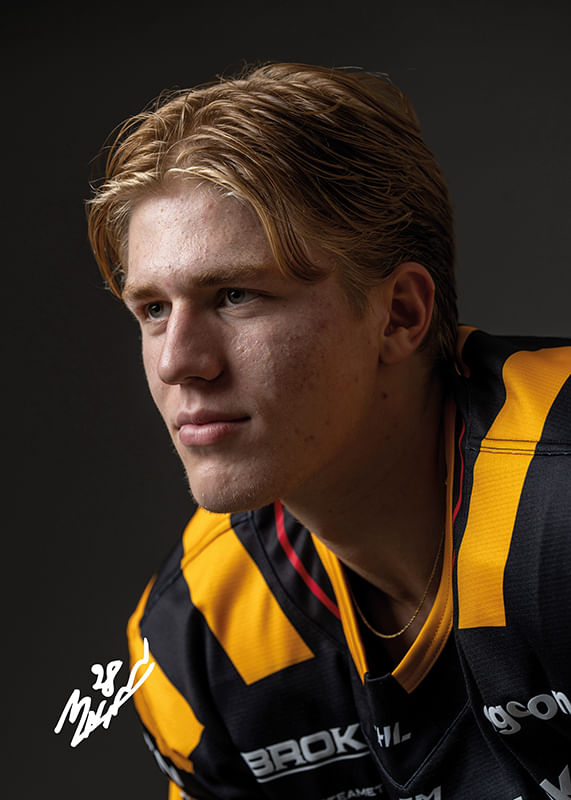 Michael Brandsegg-Nygård #28 Skellefteå AIK 2024/2025-12