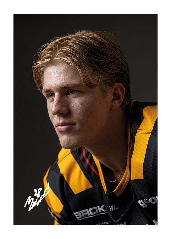 Poster Michael Brandsegg-Nygård #28 Skellefteå AIK 2024/2025