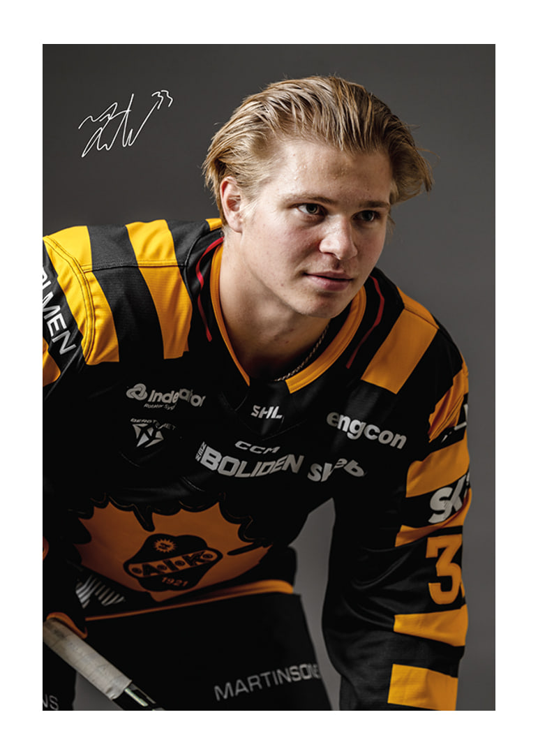 Zeb Forsfjäll #33 Skellefteå AIK 2024/2025-12