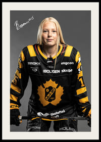 Nikita Bergmann #15 Skellefteå AIK 2024/2025-2