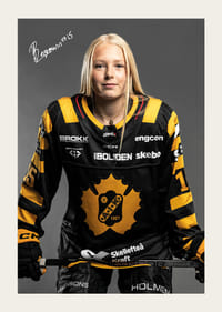 Nikita Bergmann #15 Skellefteå AIK 2024/2025-3