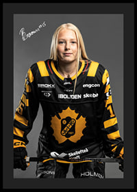 Nikita Bergmann #15 Skellefteå AIK 2024/2025-4