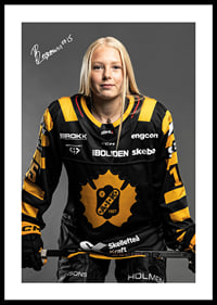 Nikita Bergmann #15 Skellefteå AIK 2024/2025-0