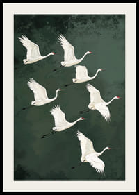 Valdzinoši planējoši dzērves pret meža zaļajām debesīm-2