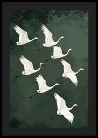 Valdzinoši planējoši dzērves pret meža zaļajām debesīm-4