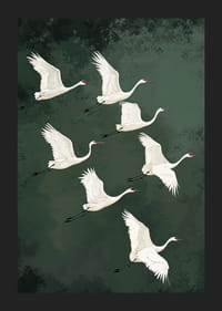 Valdzinoši planējoši dzērves pret meža zaļajām debesīm-5