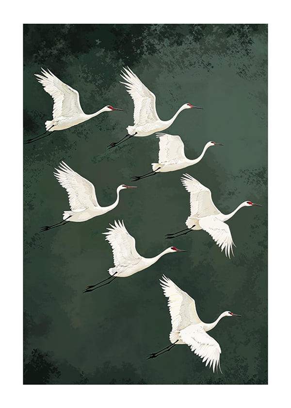 Poster Flight Of Serenity