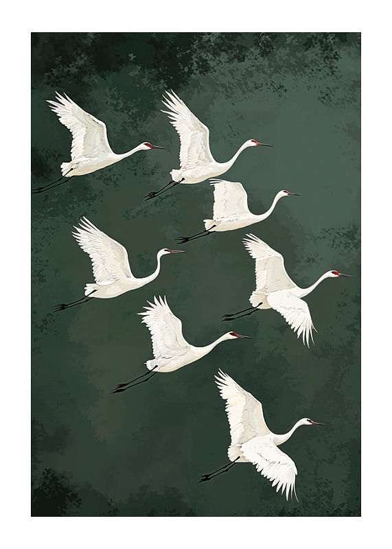 Poster Flight Of Serenity