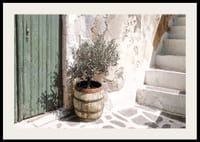 Sjarmerende olivenlund mot patinert vegg ved solnedgang-2