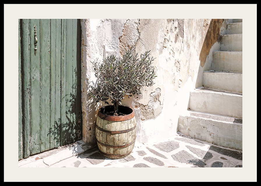 Sjarmerende olivenlund mot patinert vegg ved solnedgang-12