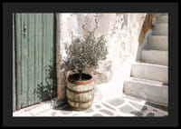 Sjarmerende olivenlund mot patinert vegg ved solnedgang-4