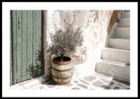 Charming olive grove against patinated wall at sunset-0