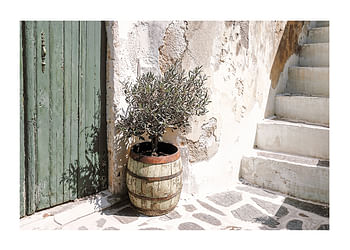 Poster Vintage Courtyard