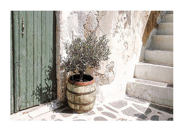 Poster Vintage Courtyard