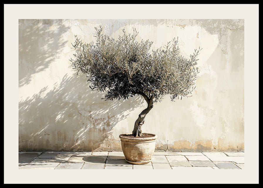 Eleganta olivträd i kruka mot väggens rustika bakgrund-12