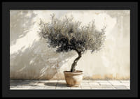 Eleganta olivträd i kruka mot väggens rustika bakgrund-4