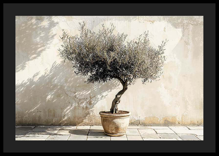 Eleganta olivträd i kruka mot väggens rustika bakgrund-12