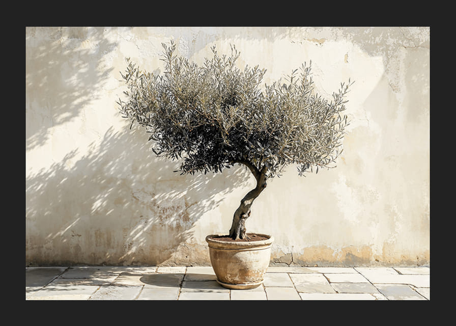 Eleganta olivträd i kruka mot väggens rustika bakgrund-12