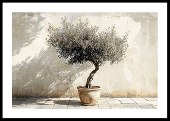 Poster Terra-Cotta Charm