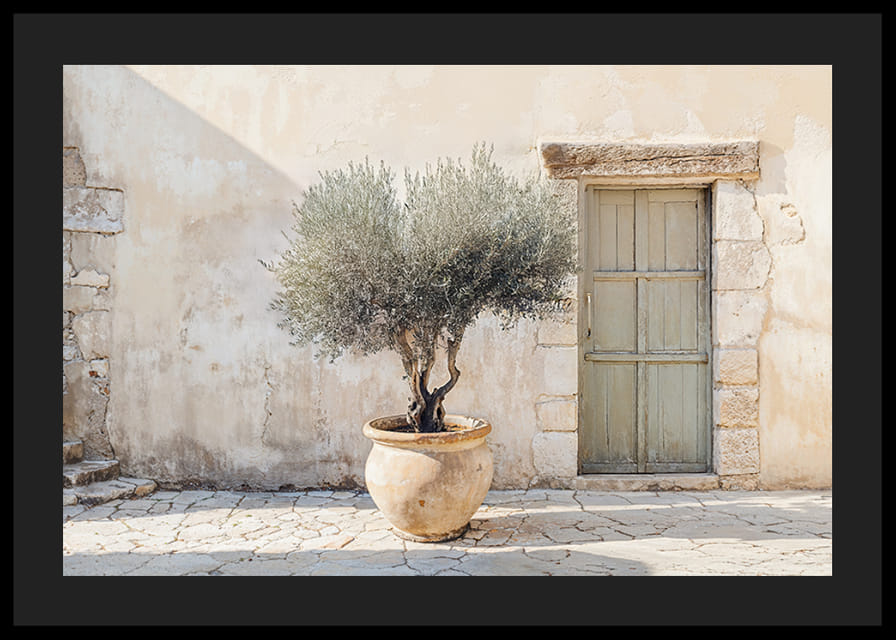 A potted olive tree against a sunlit stone wall brings peace-12