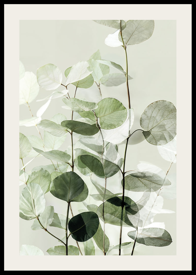 Calm green leaves create a harmonious atmosphere-12