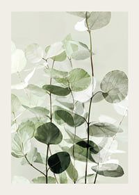 Calm green leaves create a harmonious atmosphere-3