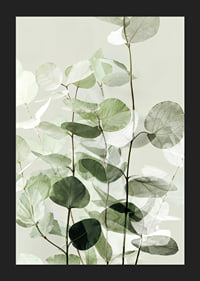 Calm green leaves create a harmonious atmosphere-5