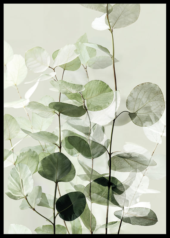 Calm green leaves create a harmonious atmosphere-12