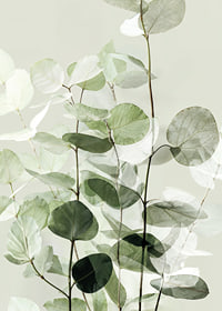 Calm green leaves create a harmonious atmosphere-7