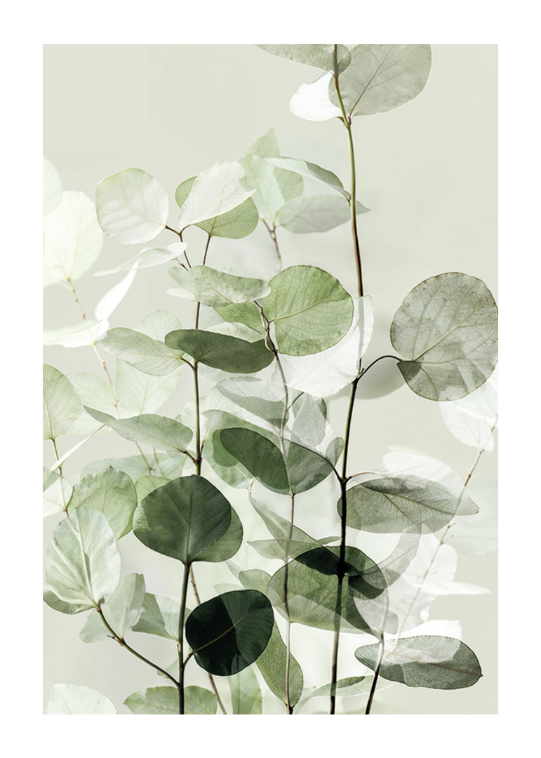 Calm green leaves create a harmonious atmosphere-12